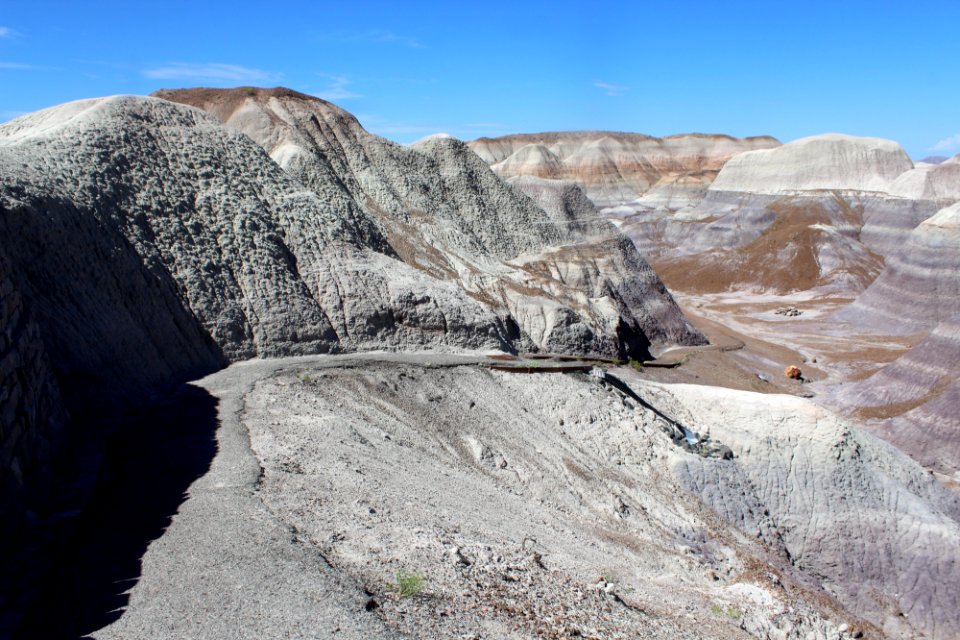 08-13-17 Blue Mesa Trail HL (8)