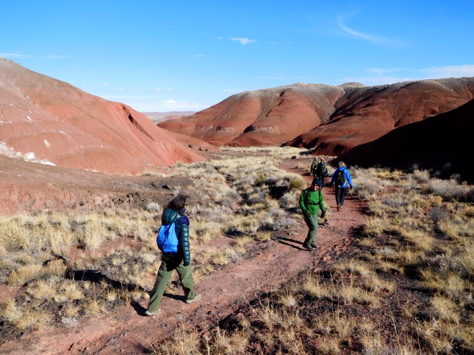 01-14-17 Grubes Wilderness Loop Hike (1) Petrified Forest National Wilderness Area