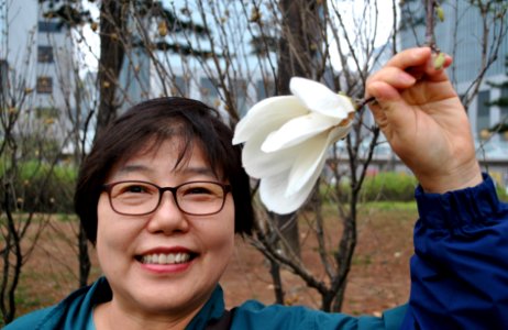 Yeouido Park Spring 2016