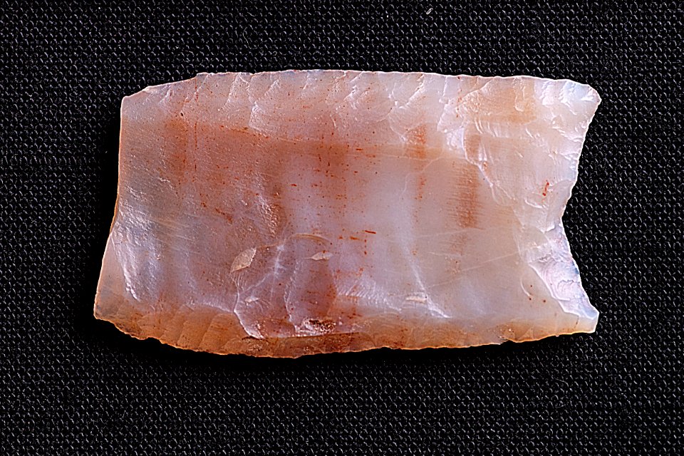 Petrified Wood Projectile Point photo