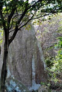 Dobee Mountain