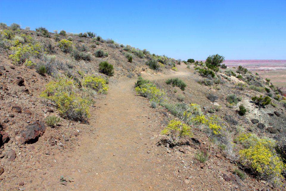 09-02-17 5655 Rim Trail