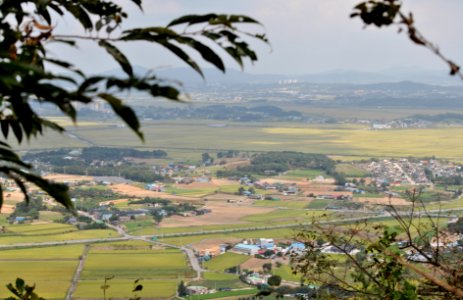 Dobee Mountain