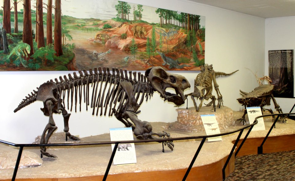 07-29-16 0313 Rainbow Forest Museum RFM