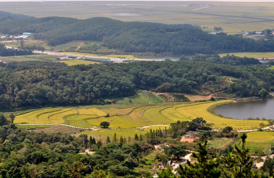 Dobee Mountain