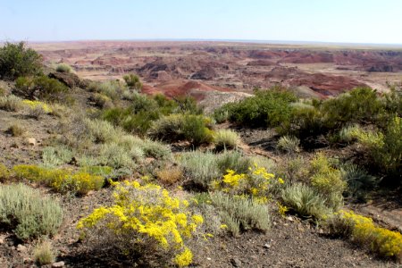 09-02-17 5634 Rim Trail
