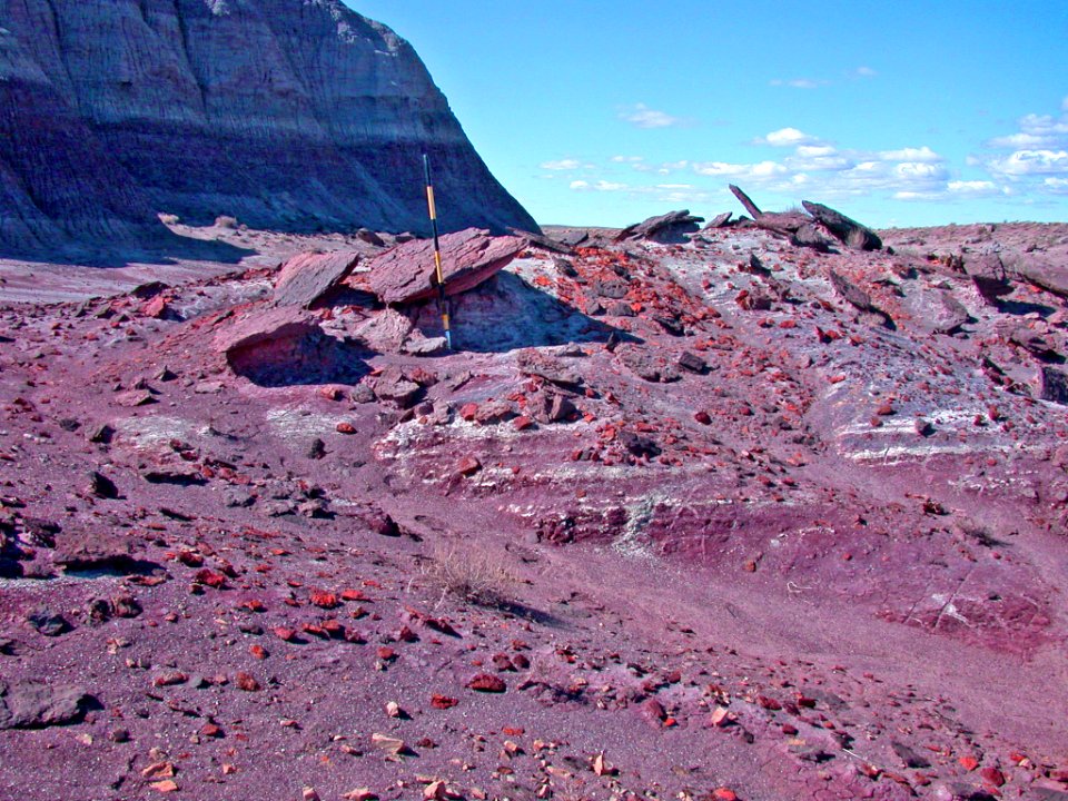 Mesa Redondo Member, Chinle Formation