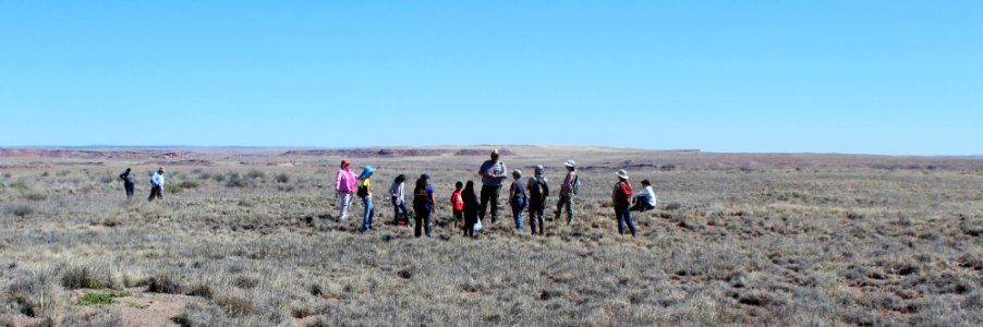 03-16-17 Dennis Roberts' photos of McCreery Pueblo Hike (6)