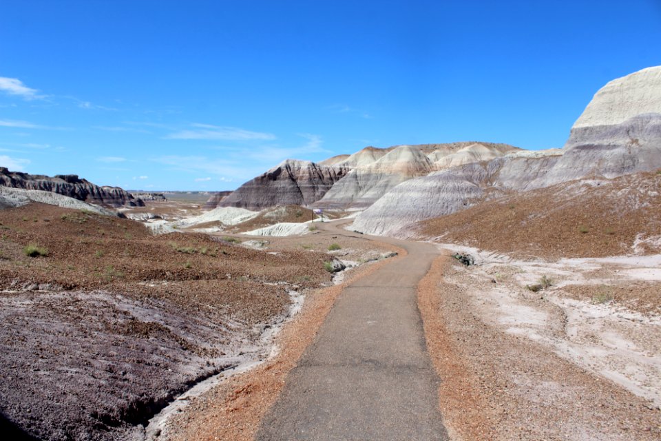08-13-17 Blue Mesa Trail HL (9)