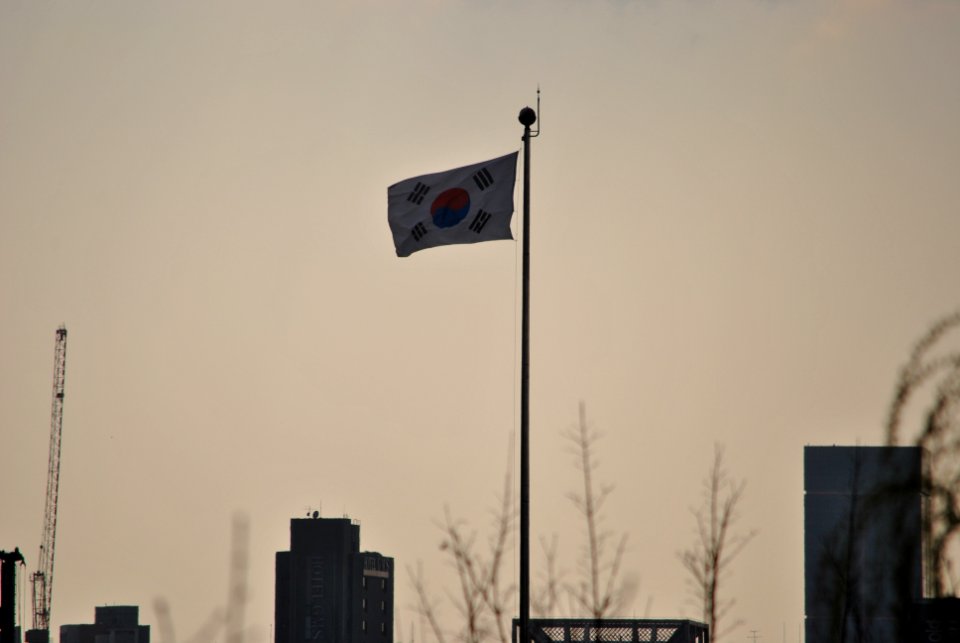 Yeouido Flower Festival