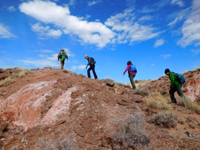 01-14-17 Grubes Wilderness Loop Hike (6)