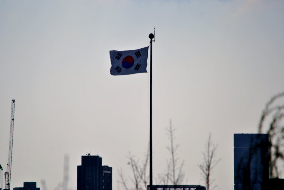 Yeouido Flower Festival