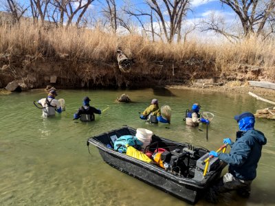 Barge Electrofishing