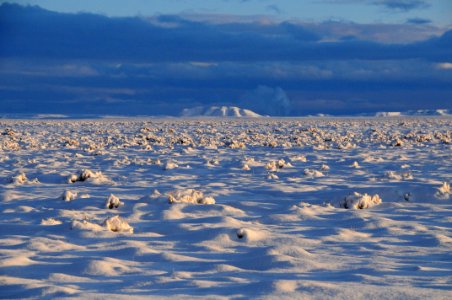 Sage steppe in winter at Seedskadee National Wildlife Refuge