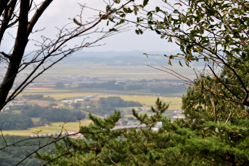 Dobee Mountain