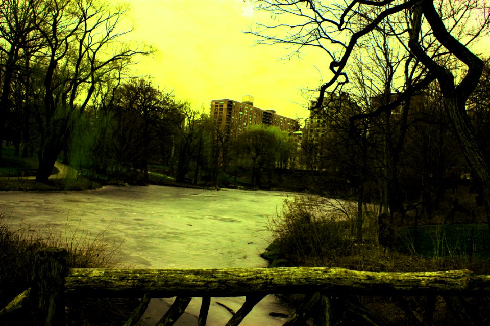 Central Park