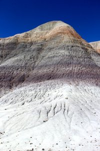 08-13-17 Blue Mesa Trail HL (19)
