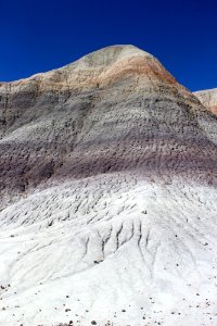 08-13-17 Blue Mesa Trail HL (19) photo