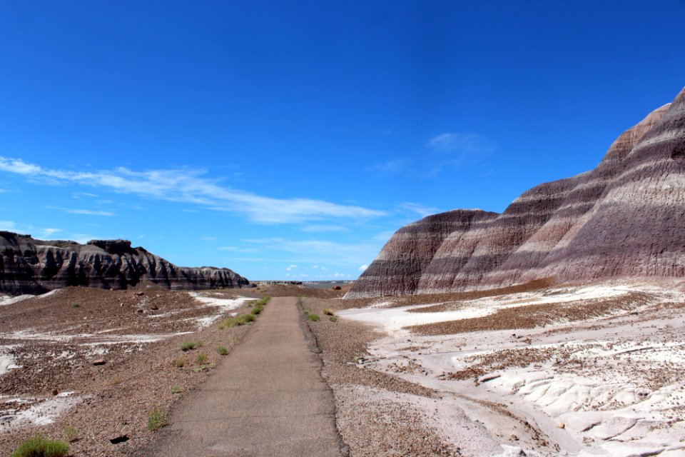 08-13-17 Blue Mesa Trail HL (21)