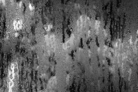 Snow, water and water vapour