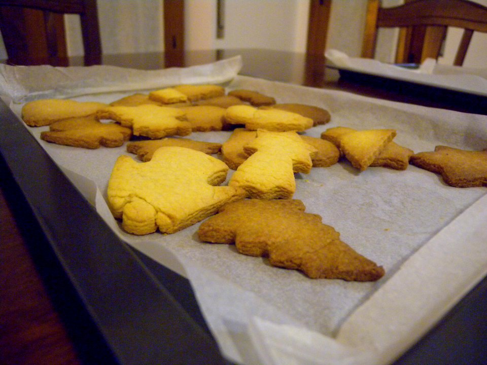 2011 11 02 pranzo e biscotti