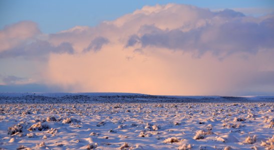 Sage steppe in winter at Seedskadee National Wildlife Refuge