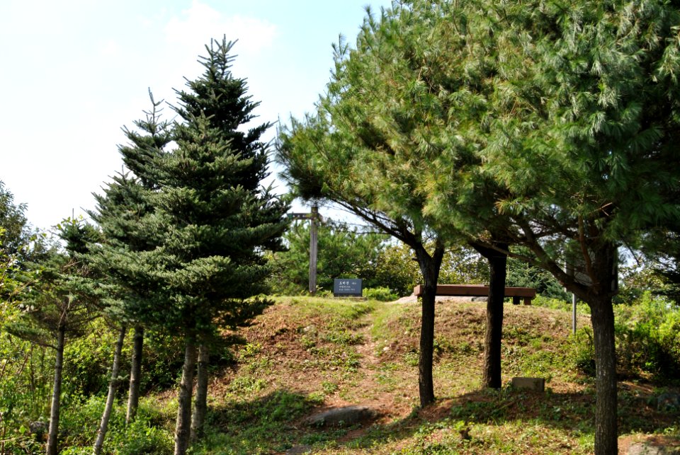 Dobee Mountain