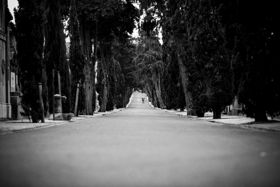 Neighborhood travel nature