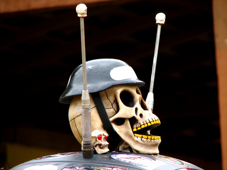 Skull