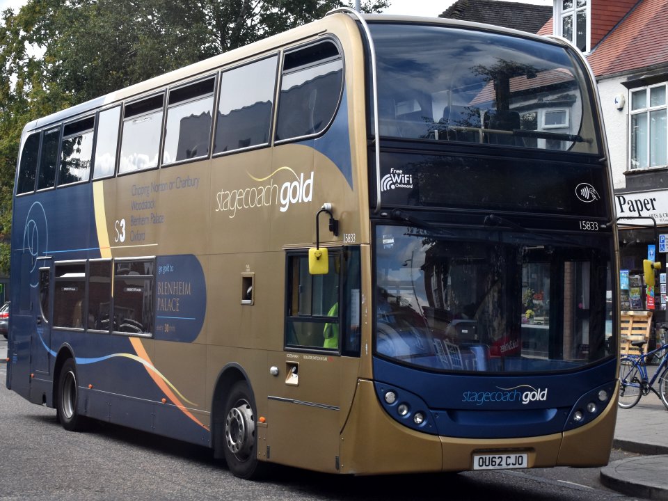 Stagecoach Gold 15833 OU62CJO