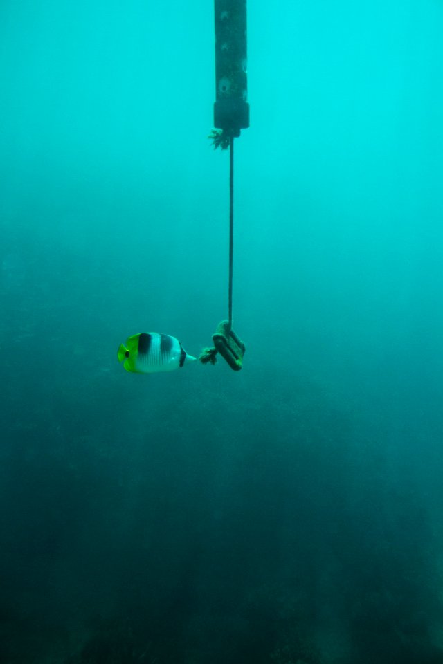 Fish Eye Marine Park, Guam