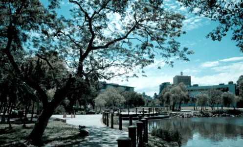 Drunken Moon Lake @ NTU