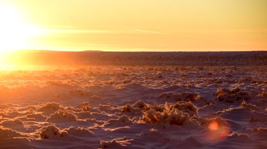 Sage steppe in winter at Seedskadee National Wildlife Refuge