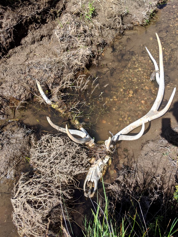 Unusual Fish Habitat