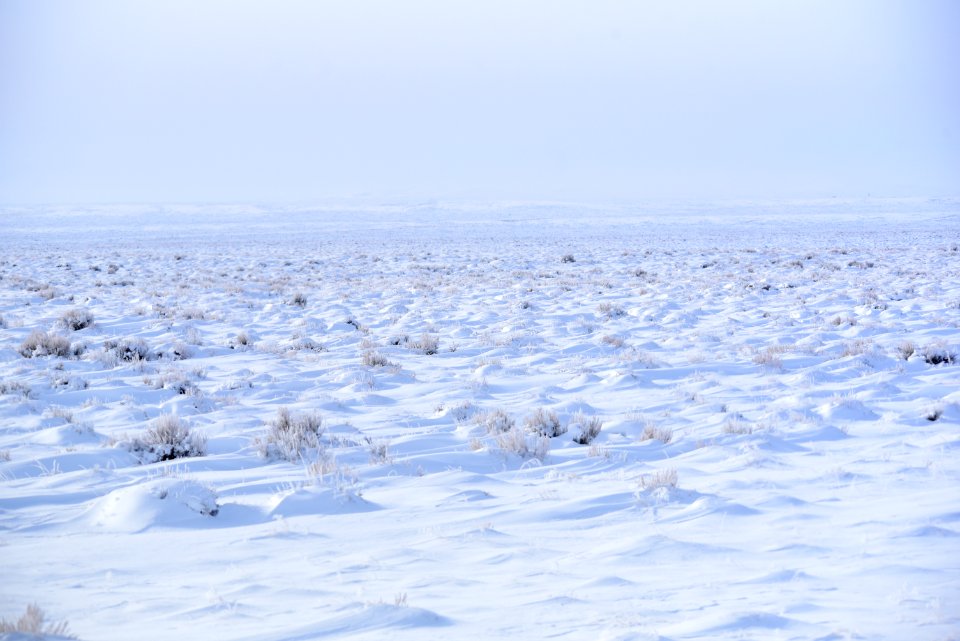 Seedskadee National Wildlife Refuge