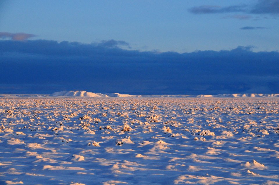 Sage steppe in winter at Seedskadee National Wildlife Refuge