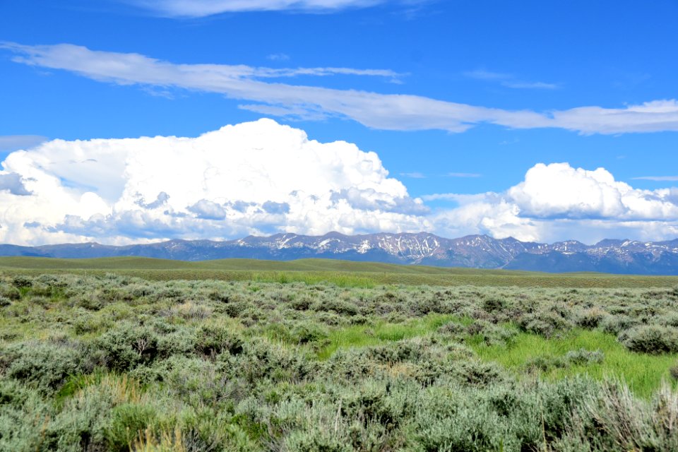 Sage steppe at Arapaho National Wildlife Refuge