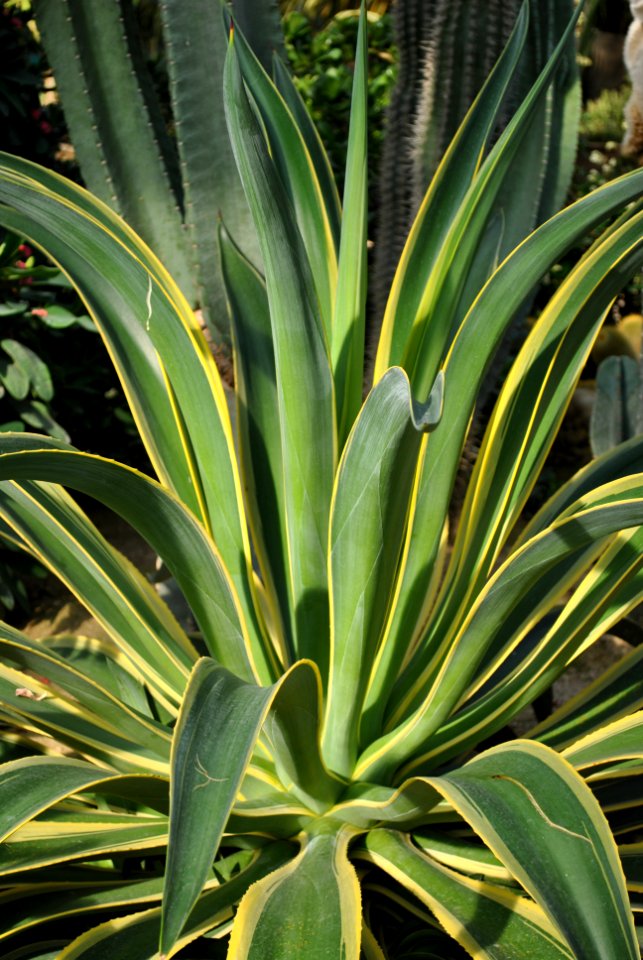 Asan Botanical Garden