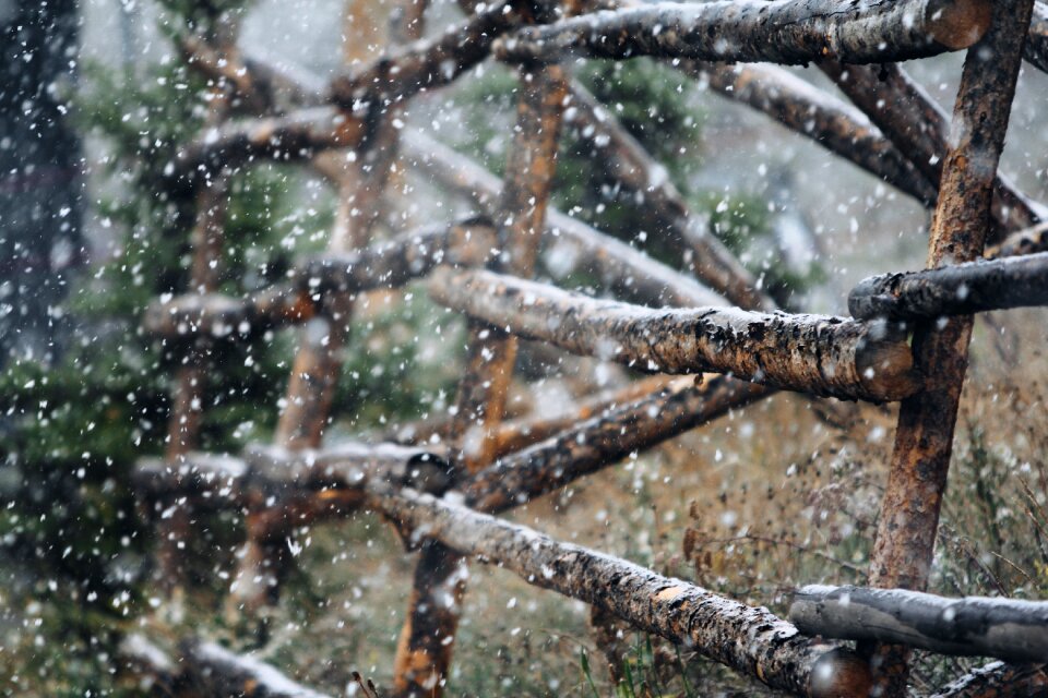 Wooden landscape outdoor