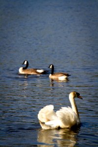 Stanley park