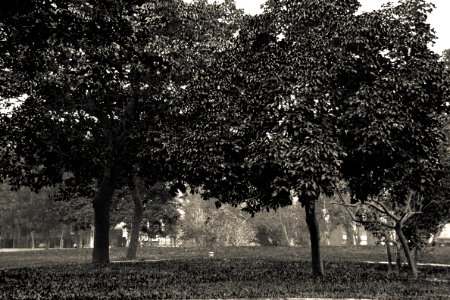 A corner @ NTU