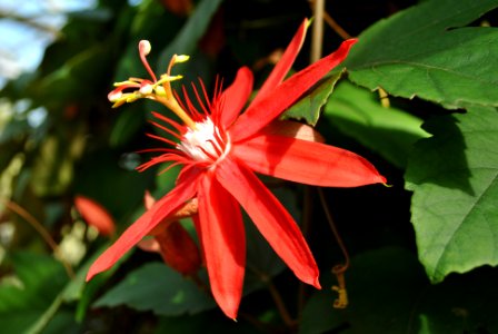 Asan Botanical Garden