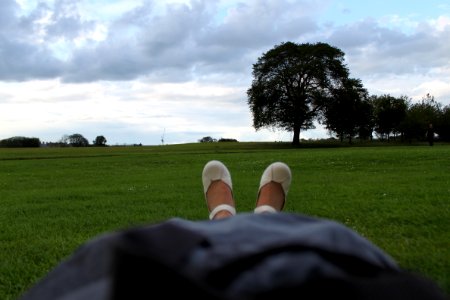 Comfortable grass