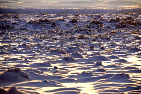 Sage steppe in winter at Seedskadee National Wildlife Refuge