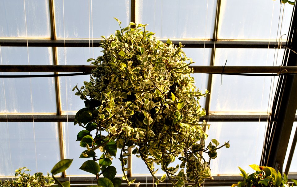 Asan Botanical Garden