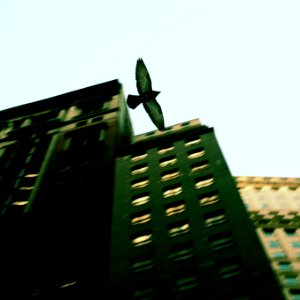 This is Wall Street