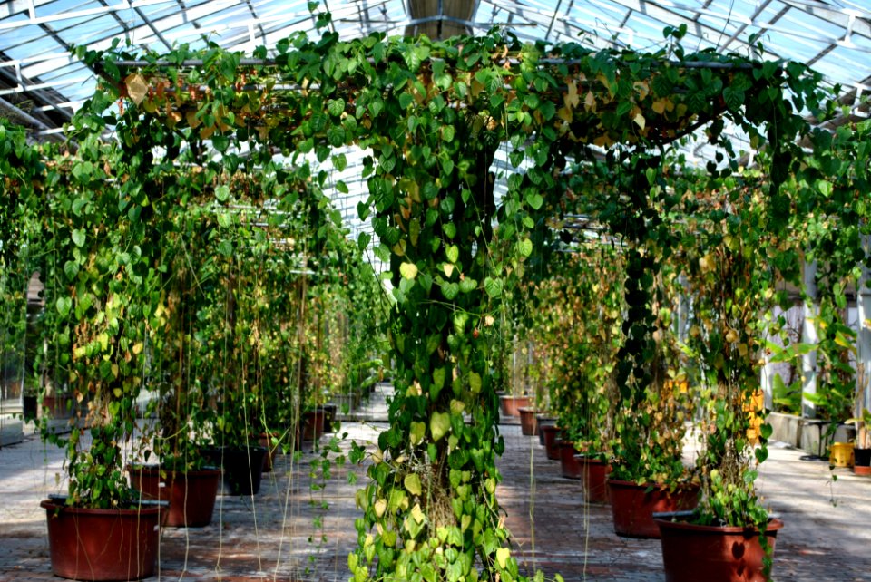 Asan Botanical Garden