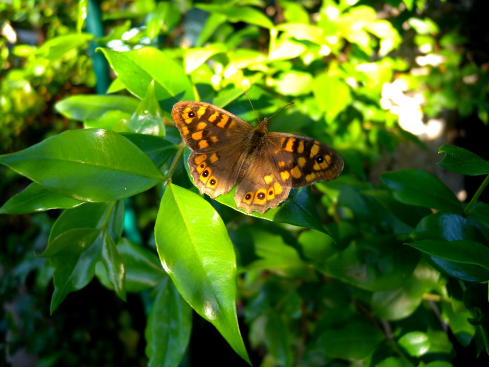 2012 05 12 s.margherita