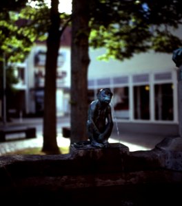 Eulenspiegelbrunnen Braunschweig
