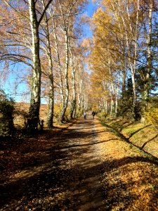 Landschaft bei Hohenwettersbach, Karlsruhe
